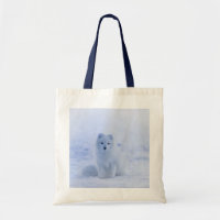 Cute Arctic Fox sur Snowy Winter Arrière - plan