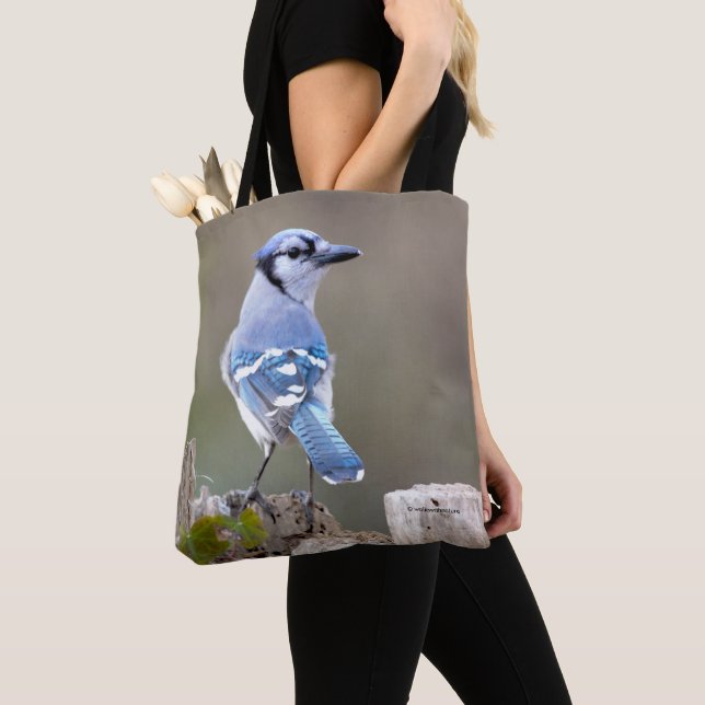 Tote Bag Cute Bleu Jay Songbird sur Treestump (De près)