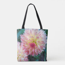 Dahlia