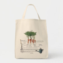 De belles carottes issues de graines pour la premi