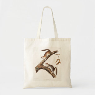 Tote Bag Downy Brown Squirrel House