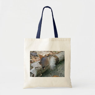 Tote Bag Éléments de coordination de la plume de vautour de