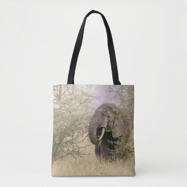 TOTE BAG ÉLÉPHANT MANGEANT D'UN ARBRE (Devant)