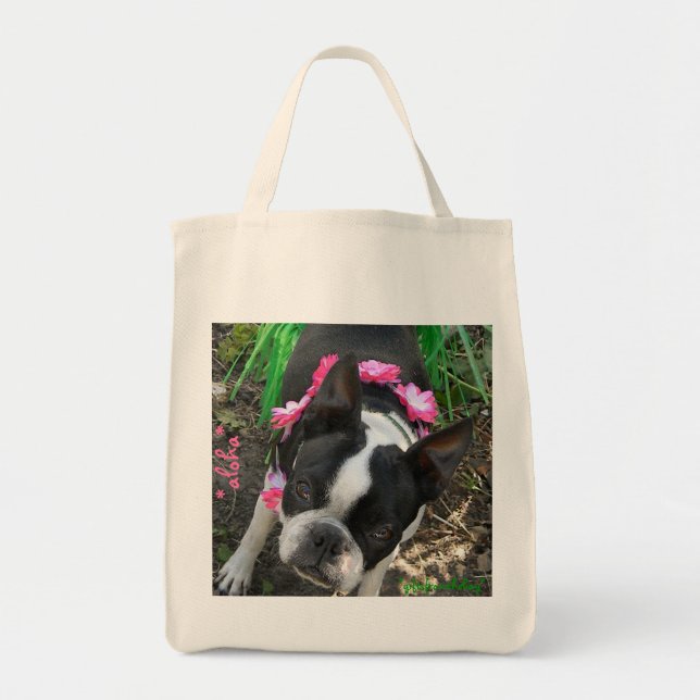 Tote Bag épicerie favorable à l'environnement fourre-tout (Devant)