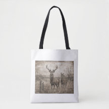 Faune