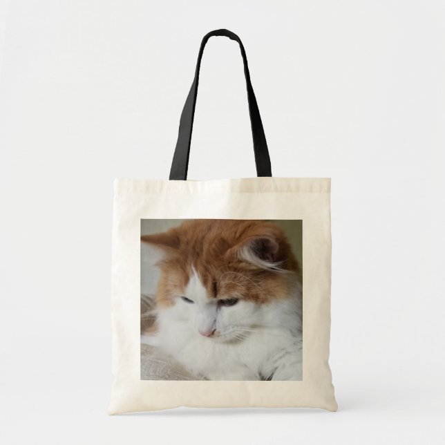 Tote Bag (Feline Fancy) Contemplation Kitty : Photo Cat (Devant)