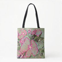 Feuille de Caladium rose et botanique abstraite