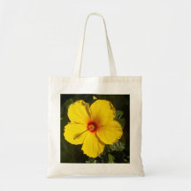 Fleur d'Hibiscus jaune