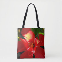 Fleur d'Hibiscus rouge au soleil