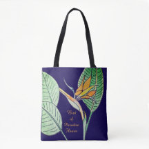 Fleur d'oiseau de paradis