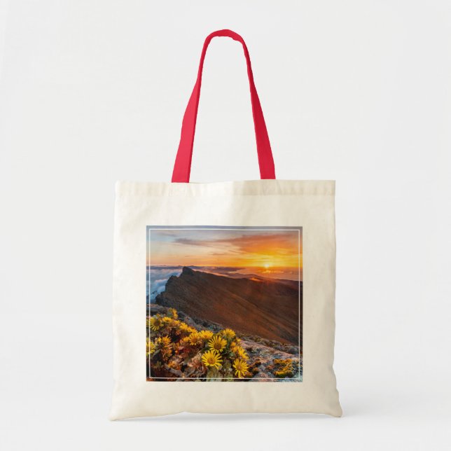 Tote Bag Fleurs | Îles Canaries, Espagne (Devant)