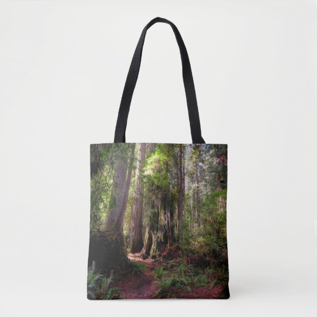 Tote Bag Forests | Redwood Forest California (Devant)