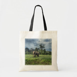 Tote Bag Forêt   Parc national de Kao Sok