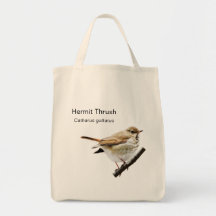 Hermit Thrush Épicerie Fourre-tout