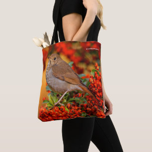 Tote Bag Hermite Thrush Songbird sur araignée de feu