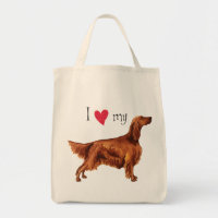 I love my Irish Setter