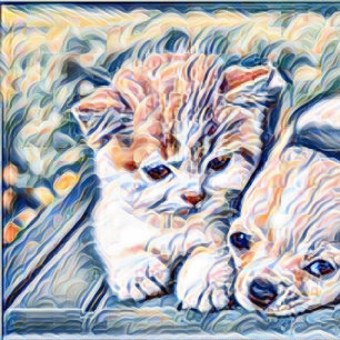 Tote Bag Kitten Et Chihuahua Puppy