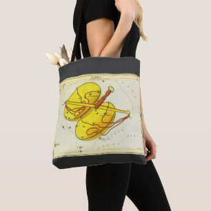 Tote Bag La bibliothèque met à l'échelle la constellation V