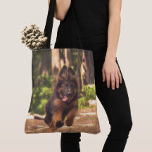 L'adorable berger allemand de longue date