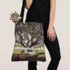 Les généalogistes aiment les grands arbres