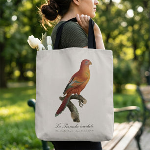 Tote Bag Lori de Bornéo, Trichoglossus borneus