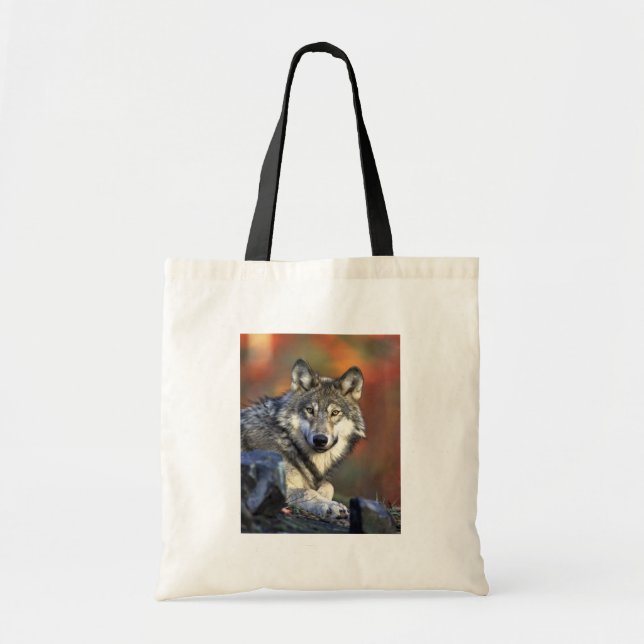 Tote Bag Loup gris (Devant)