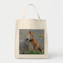 maculez le sac, renard fourre-tout, client de