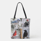 Mes oiseaux et mes amis furieux