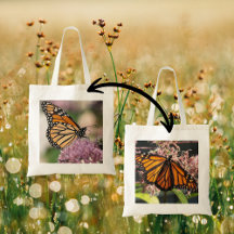 Monarch Butterfly Fleur sauvage de la photographie