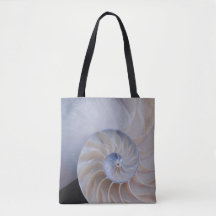 Nautilus Shell Fourre-tout