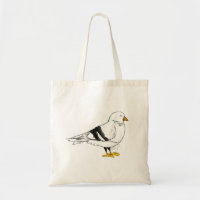New York City NYC Pigeon Beach Seagull Gull Bird