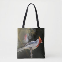 Oiseau cardinal à crête rouge
