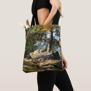 Tote Bag Paisible sentier forestier Nature
