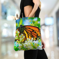 Papillon Monarque orange Fleur blanche Photo Bold