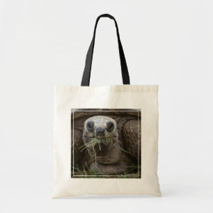 Tote Bag Pâturage de tortue d'Aldabra