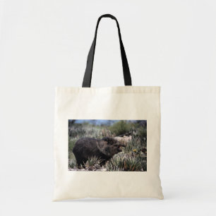 Tote Bag Peccary colleté (javelina) baîllant parmi la