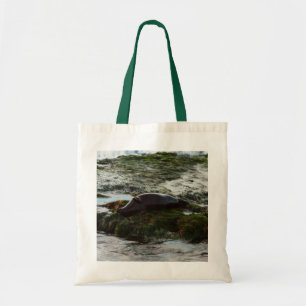 Tote Bag Phoque de Harbour éclairé par le coucher de soleil