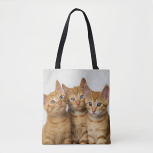 Tote Bag Photo mignonne de trois de gingembre chatons de