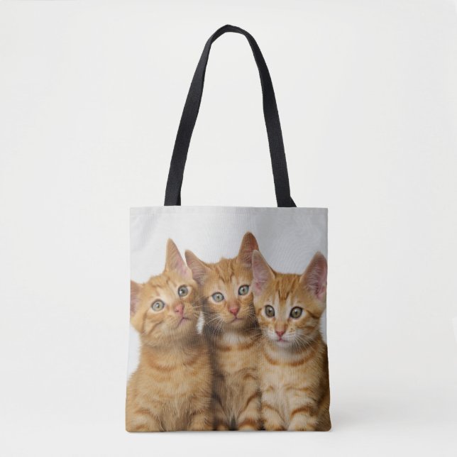 Tote Bag Photo mignonne de trois de gingembre chatons de (Devant)