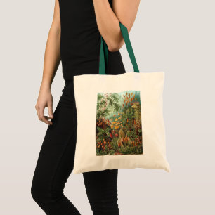 Tote Bag Plantes vintages de la mousse par Ernst Haeckel, M