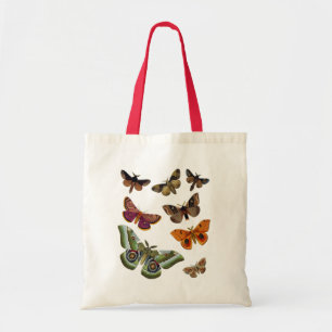 Tote Bag Plat 3 de mite