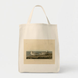 Tote Bag Pluvier siffleur des oiseaux d'Amérique d'Audubon