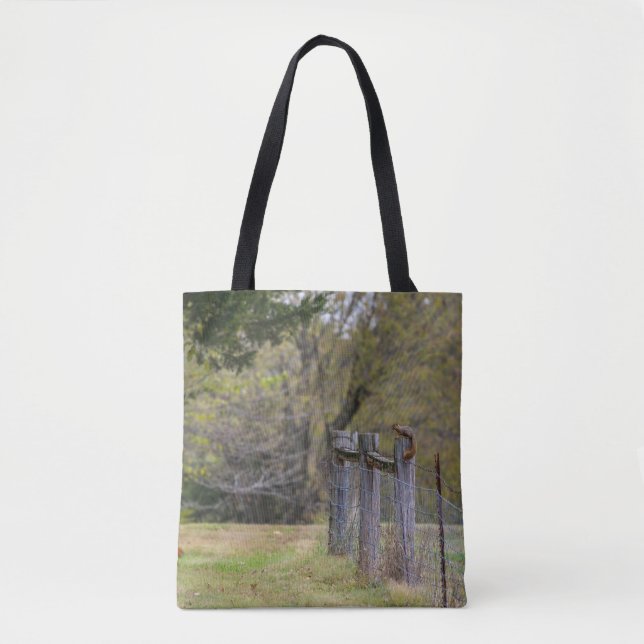 Tote Bag Pose de clôture d'écureuil (Devant)