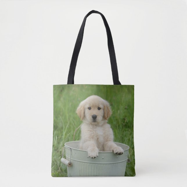 Tote Bag Rétrificateur d'or dans le bassin de Wash (Devant)