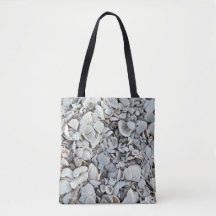 Rivage de coquillages