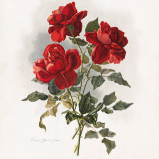 Tote Bag Rose rouge, Roses romantiques.