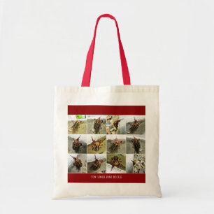 Tote Bag Scarab juin insecte du scarabée Big Bug