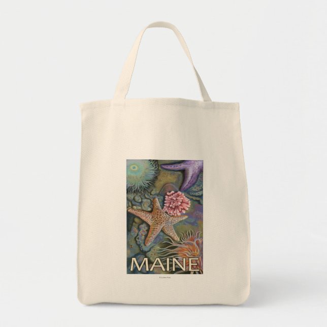Tote Bag Scène MaineTidepool (Devant)