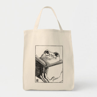 Tote Bag storytime