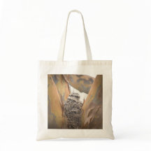 Tawny Frogmouth Chicks Fourre-tout